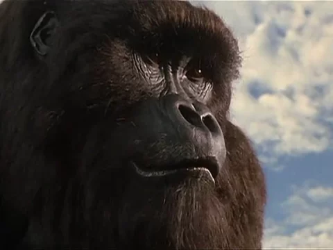 รีวิว Mighty Joe Young ไมตี้โจ ยัง (1998)