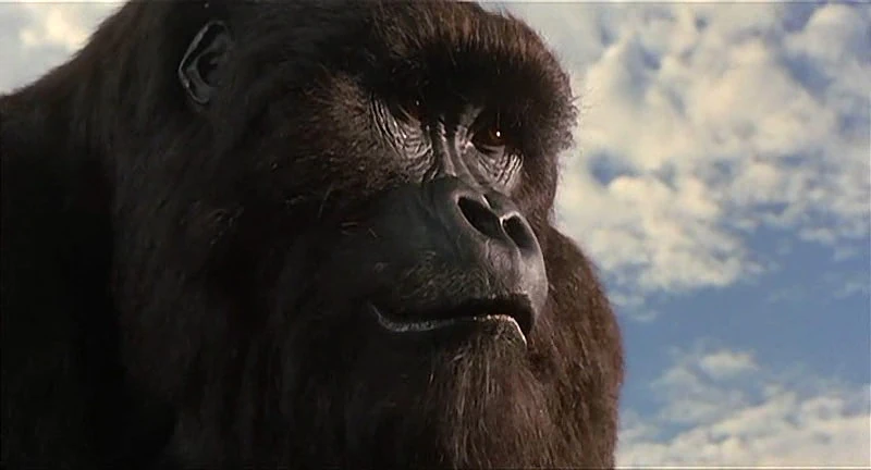 รีวิว Mighty Joe Young ไมตี้โจ ยัง (1998)